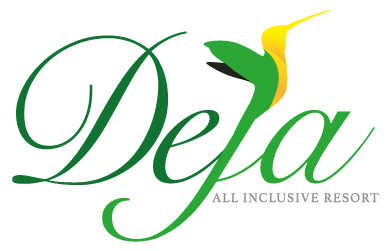 logo-deja